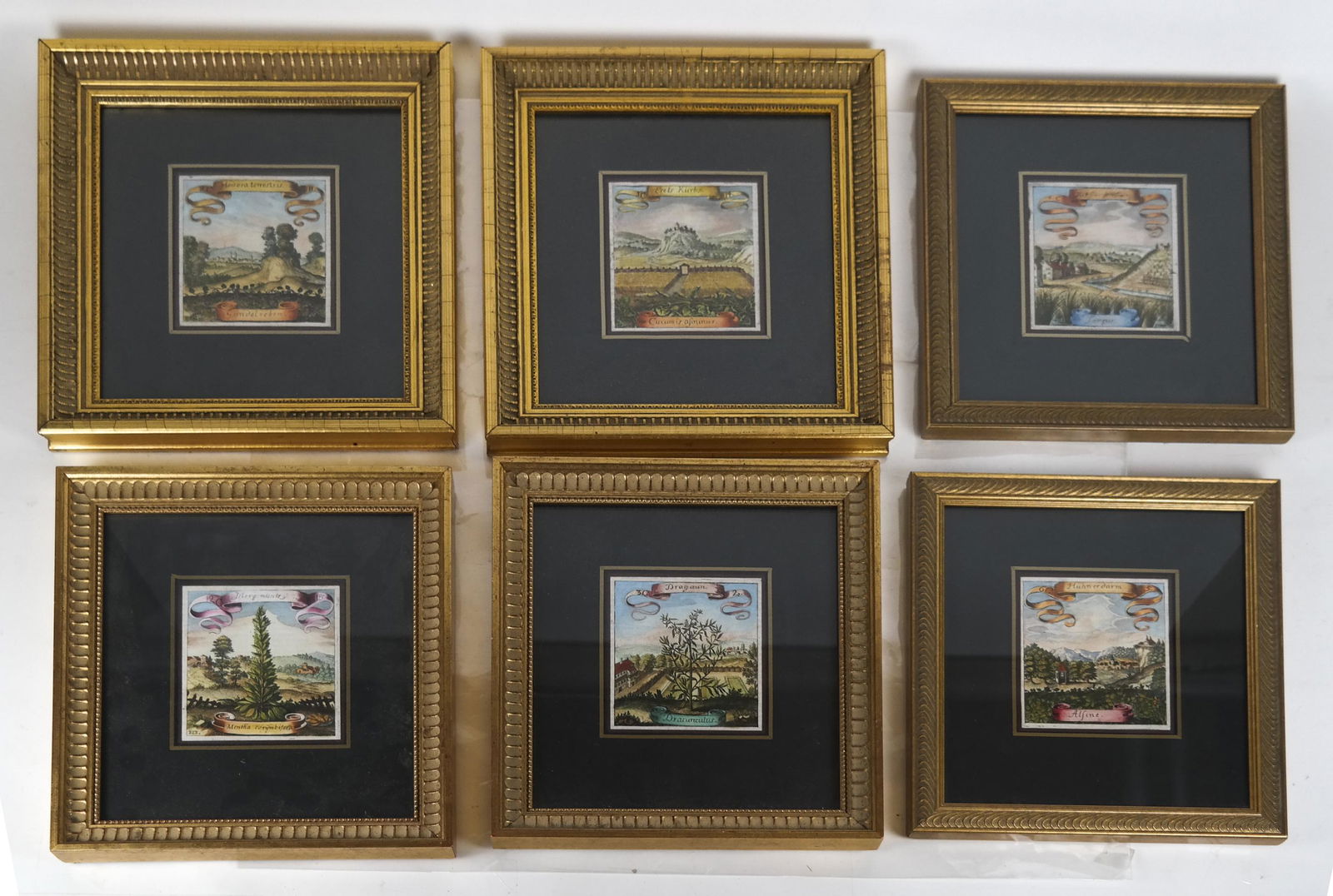 Set of 6 Framed Antique Botanical Prints (1 of 6)