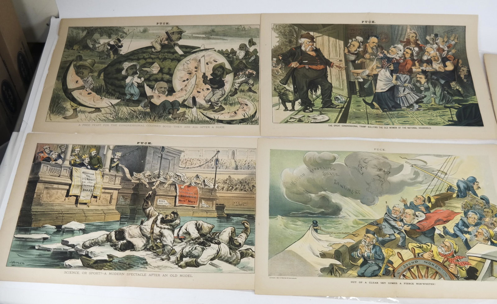 PUCK: Group of 5 Political Cartoons, Double Page: 1. Out of a clear sky comes a fierce Nor''Wester, 1896; 2. She won't bow to the hat, c.1896; 3. The great congressional tramp bullying the woman of the national household (taped pages); 4. Science or 