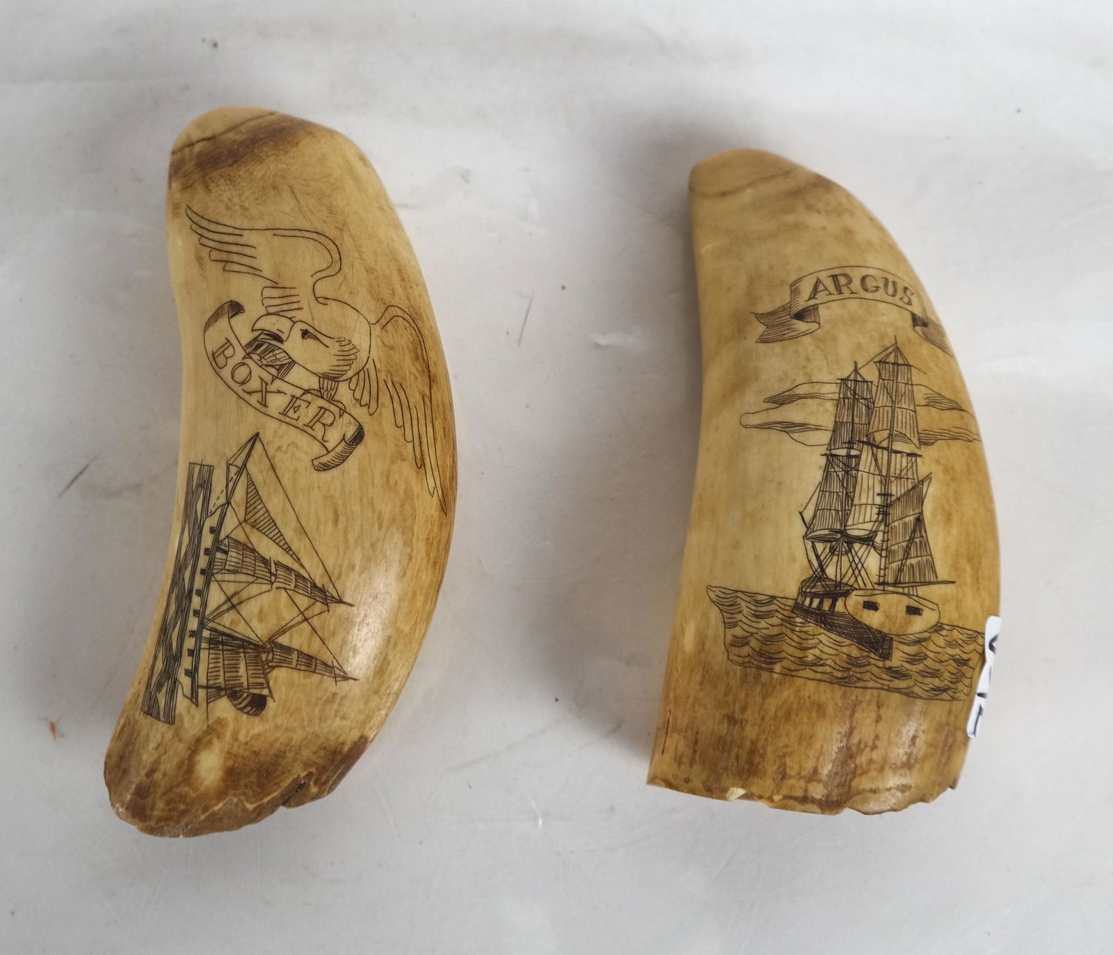 Two Scrimshaw Tooth Carvings - "Boxer", "Argus": 1. "Boxer" engraved with a bald eagle with a schooner flying the U.S. colors [5 1/2 inches]. 2. "Argus" engraved with a schooner setting sail with a cloudy sky [5 1/4 inches].