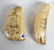 Scrimshaw Tooth Carvings- "USS Hartford", "Essex"