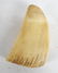 Scrimshaw Tooth Carvings- "USS Hartford", "Essex" - 3