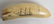 Scrimshaw Tooth Carvings- "USS Hartford", "Essex" - 4