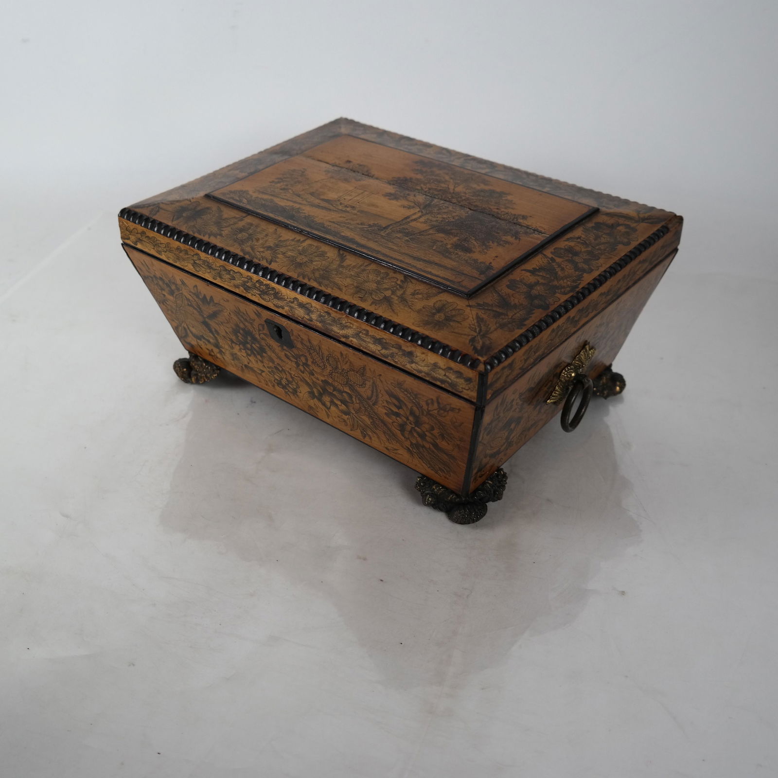 19th C. Regency Satinwood Tea Caddy (1 of 6)