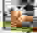 item-78304409=3