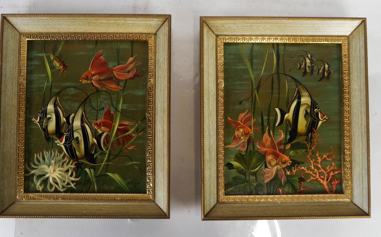 A.T. TORAN: Fish Scenes (1 of 5)