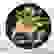 item-81148505=3