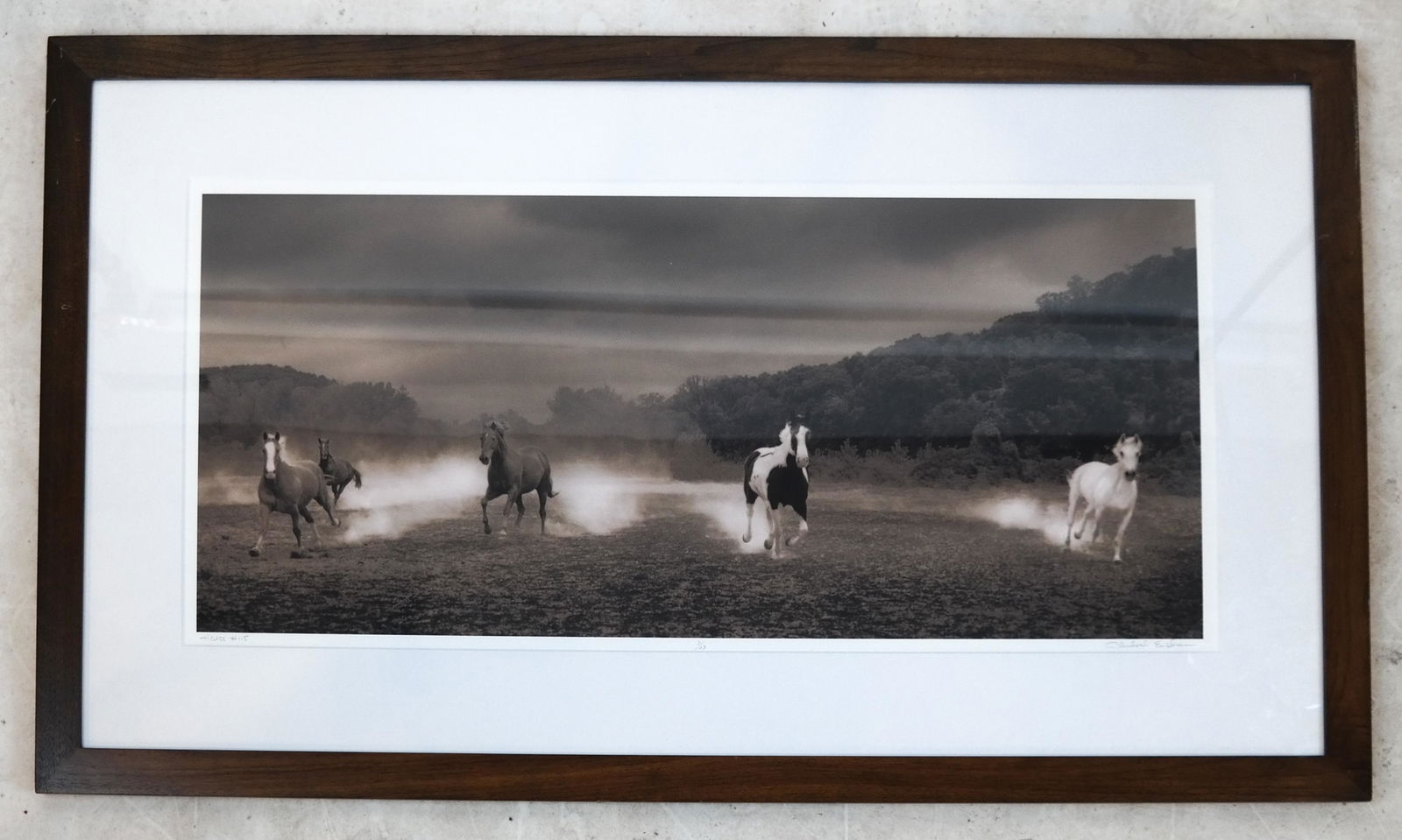 Michael EASTMAN: "Horses #113"- Photograph (1 of 4)