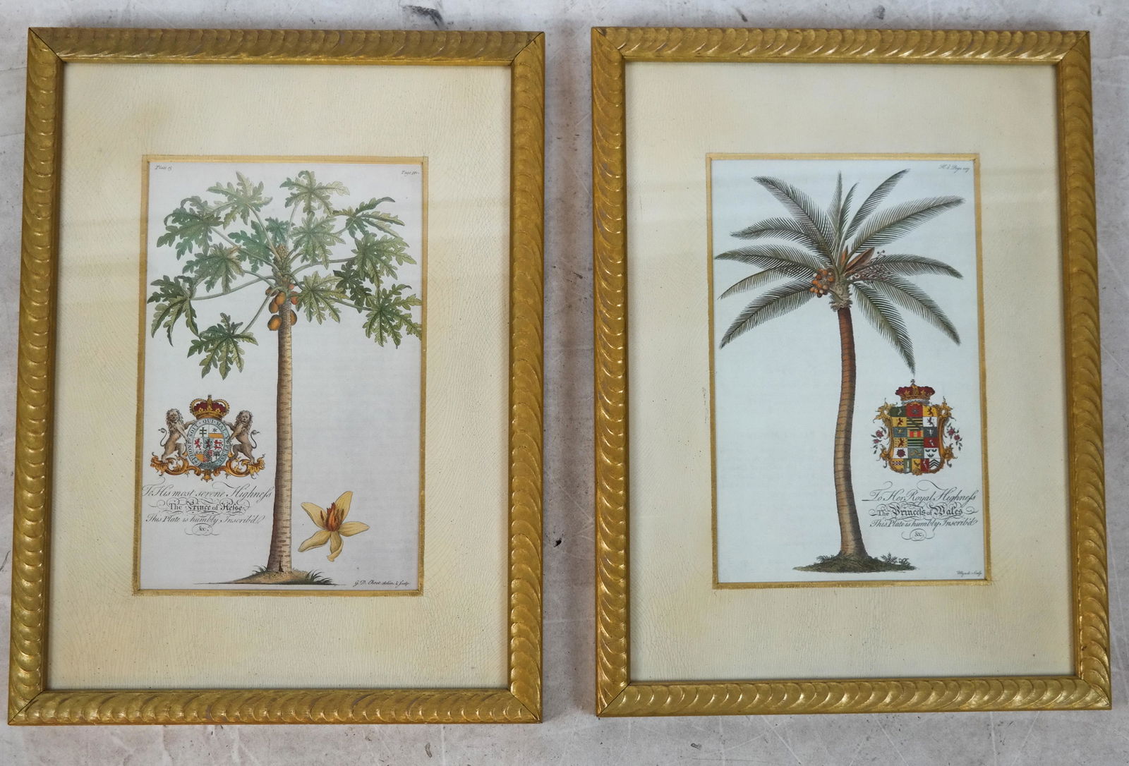 Pair of Tropical Scenes - Prints (1 of 5)