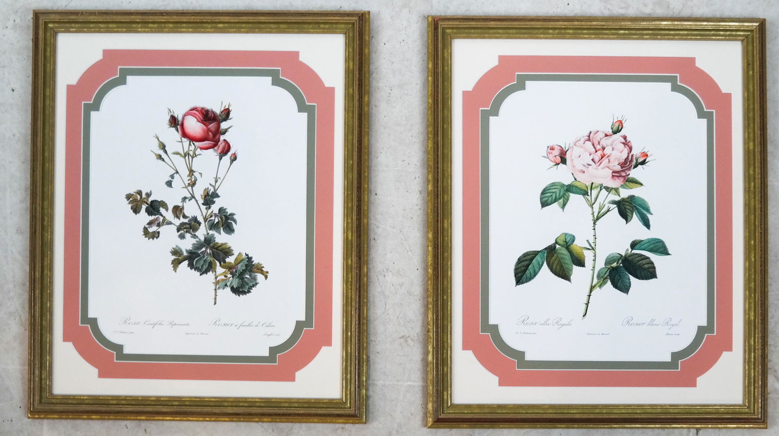 Pair Horticultural Prints (1 of 6)