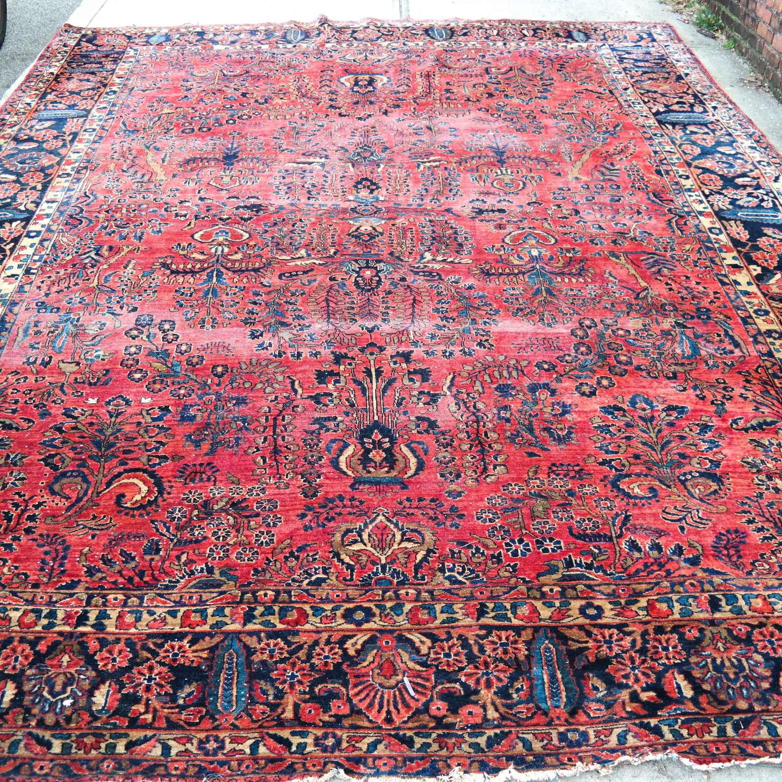 Sarouk Rug/Carpet (1 of 7)