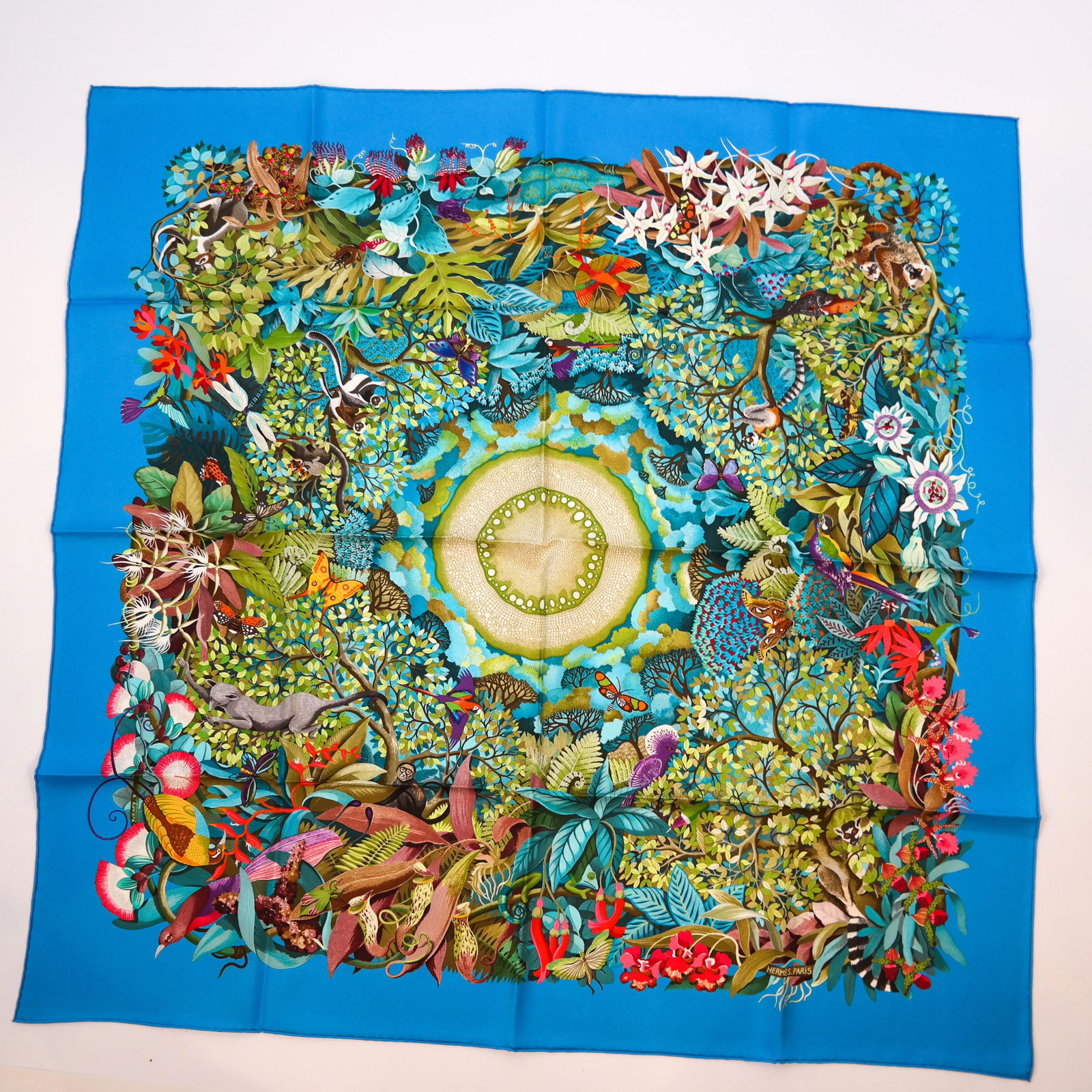 HERMES 100% Silk Scarf (1 of 5)