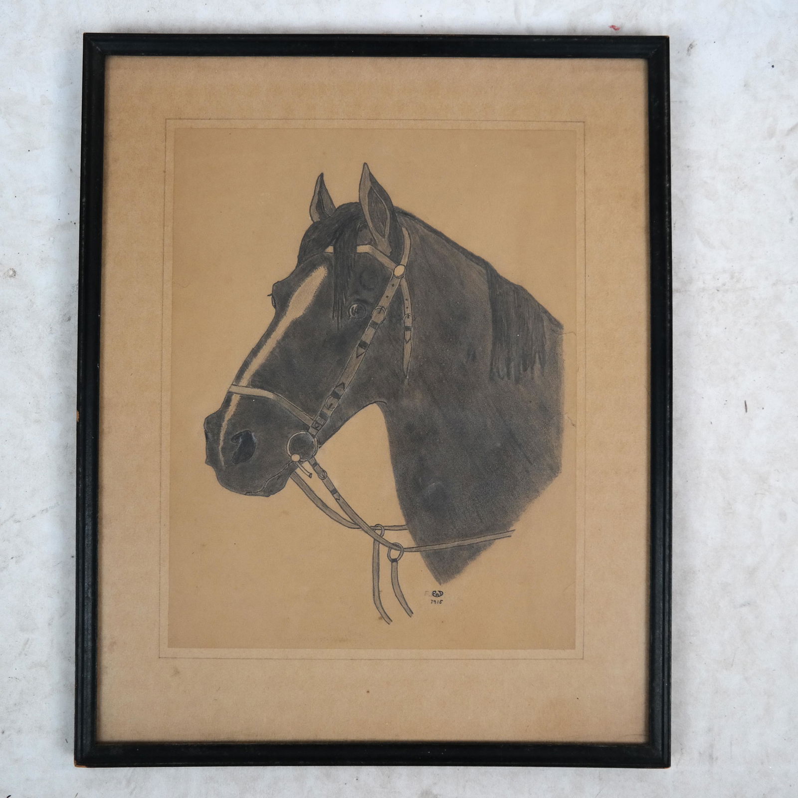 FAD Horse Head Drawing (1 of 3)