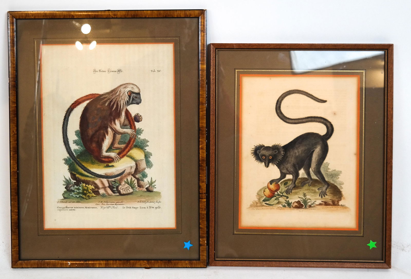 Two Monkey Prints (1 of 16)