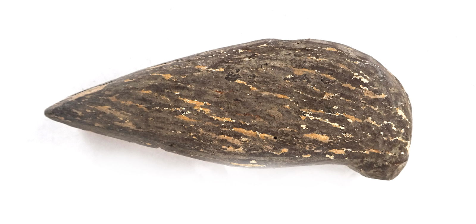 Shorebird Decoy, Early 20th C. (1 of 5)