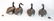 Lot of 4 Canada Goose Styrofoam Decoys - 4