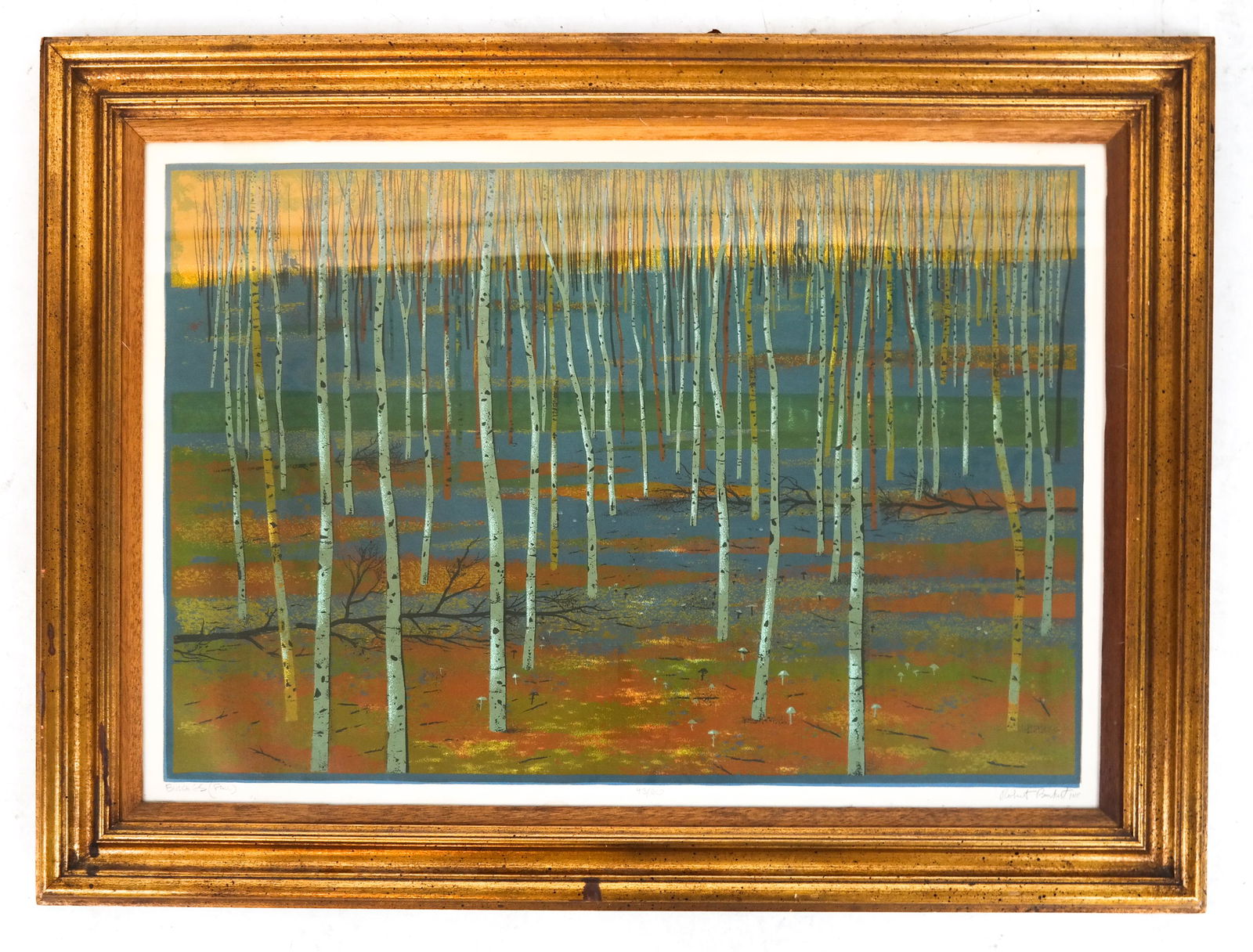 Robert BURKHART: Birches - Fall (1 of 5)