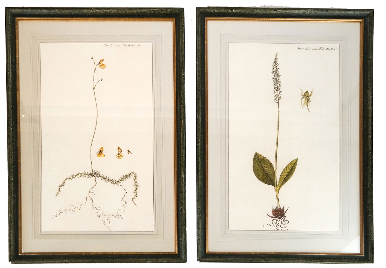 Two French Horticultural Prints (1 of 5)