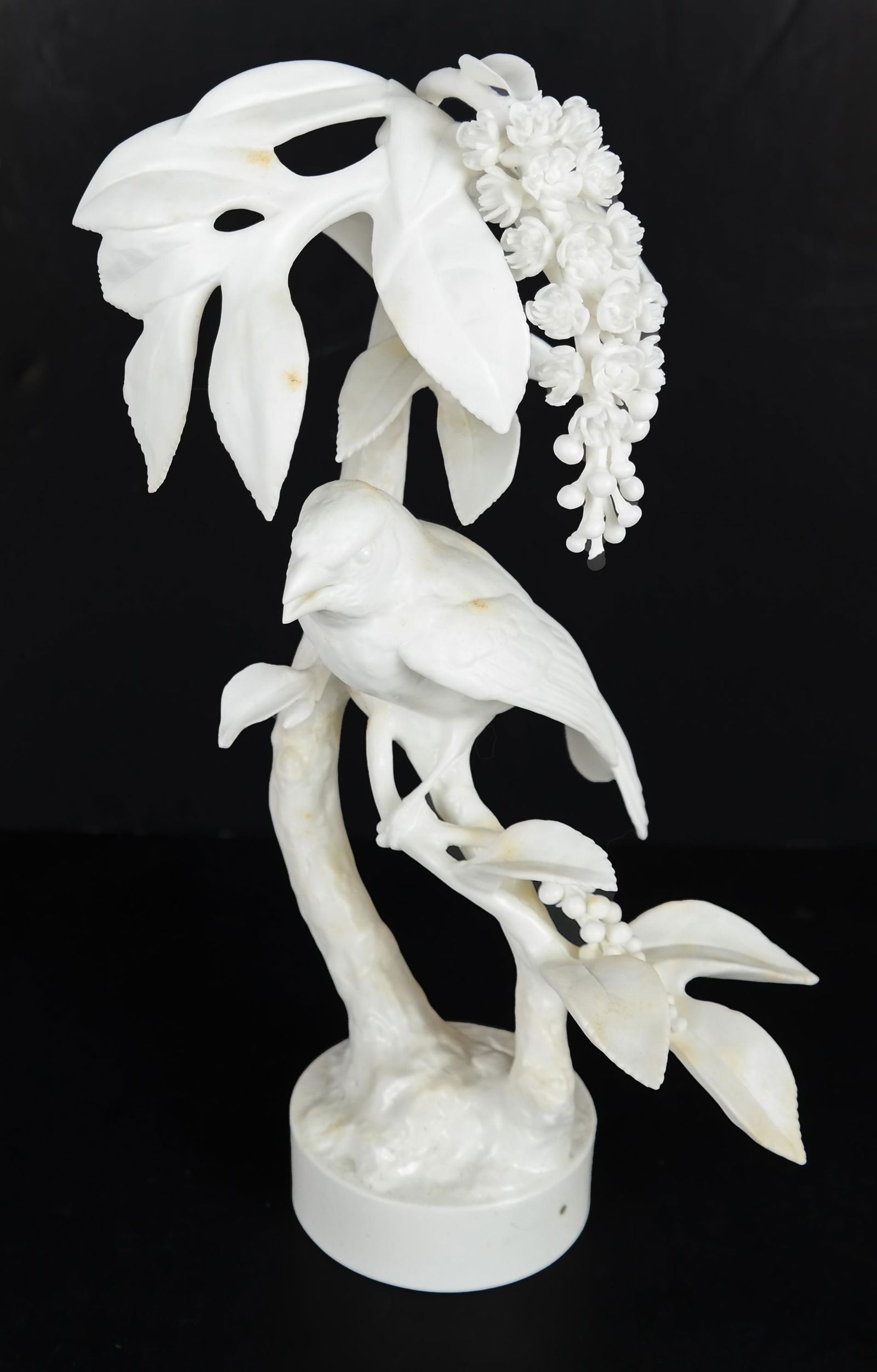 E.M. BOEHM: Lazuli Bunting Hen - White (1 of 7)