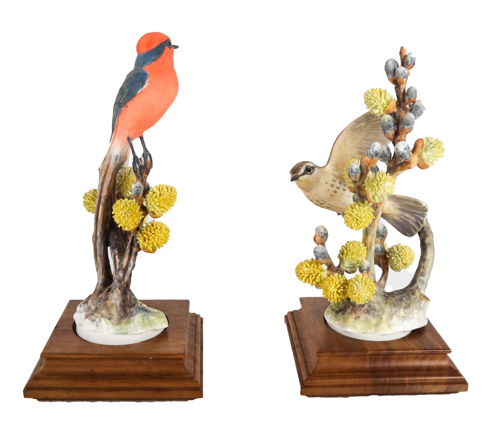 Pair D. Doughty Porcelain Vermilion Flycatchers: Pair of porcelain Vermilion Flycatchers, by Dorothy Doughty for Royal Worcester, signed on bottom. [10 inches high]. One catkin re-glued.