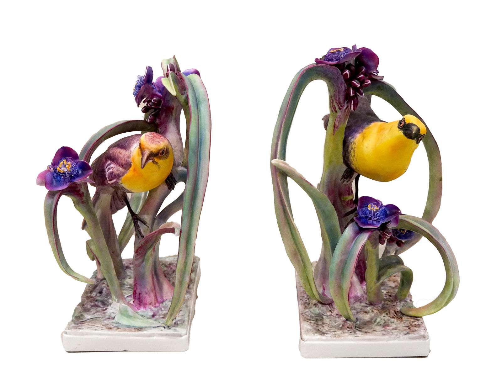 Pair Dorothy Doughty Black Birds (1 of 10)