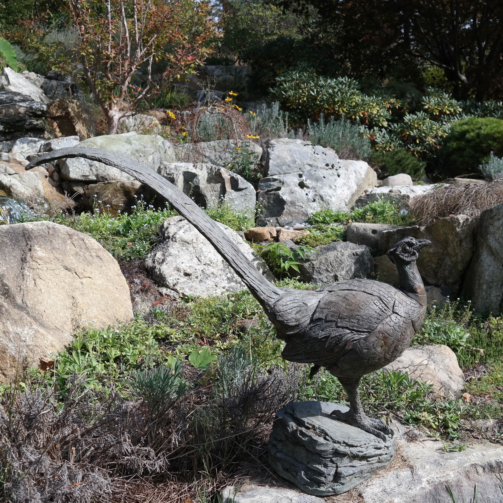 Bronze Running Pheasant Garden Sculpture (1 of 7)