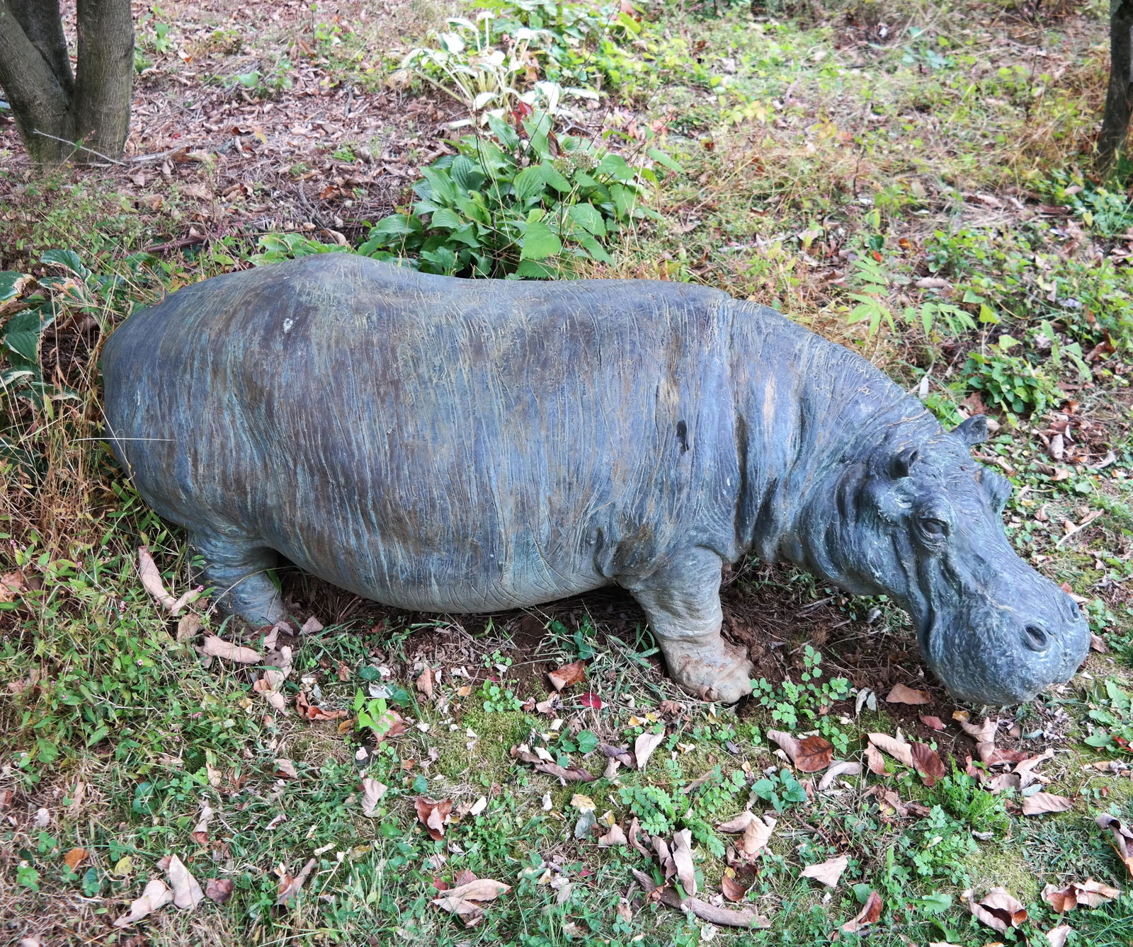 Stefano PATTI: "Hippo" Bronze Sculpture (1 of 8)