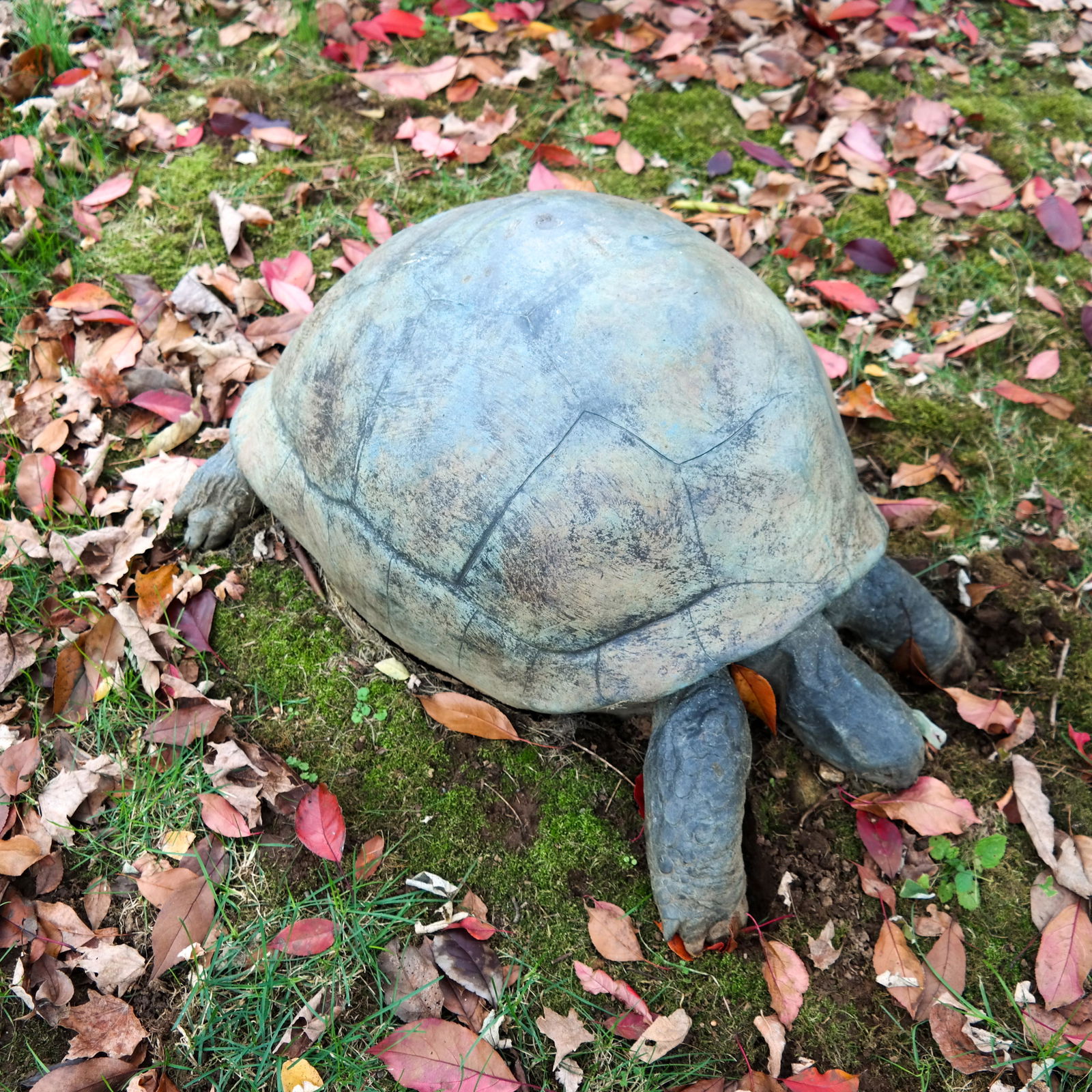 Ken BOLAN: Bronze Tortoise - Sculpture (1 of 6)