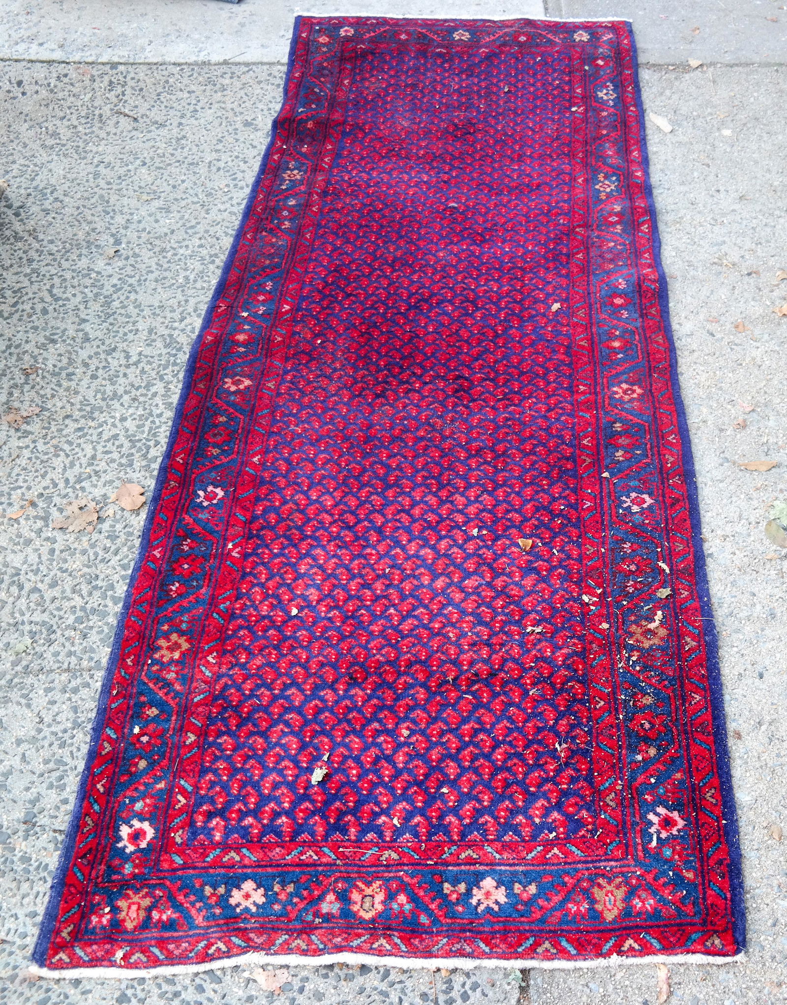 Bokara-Style Runner (1 of 6)