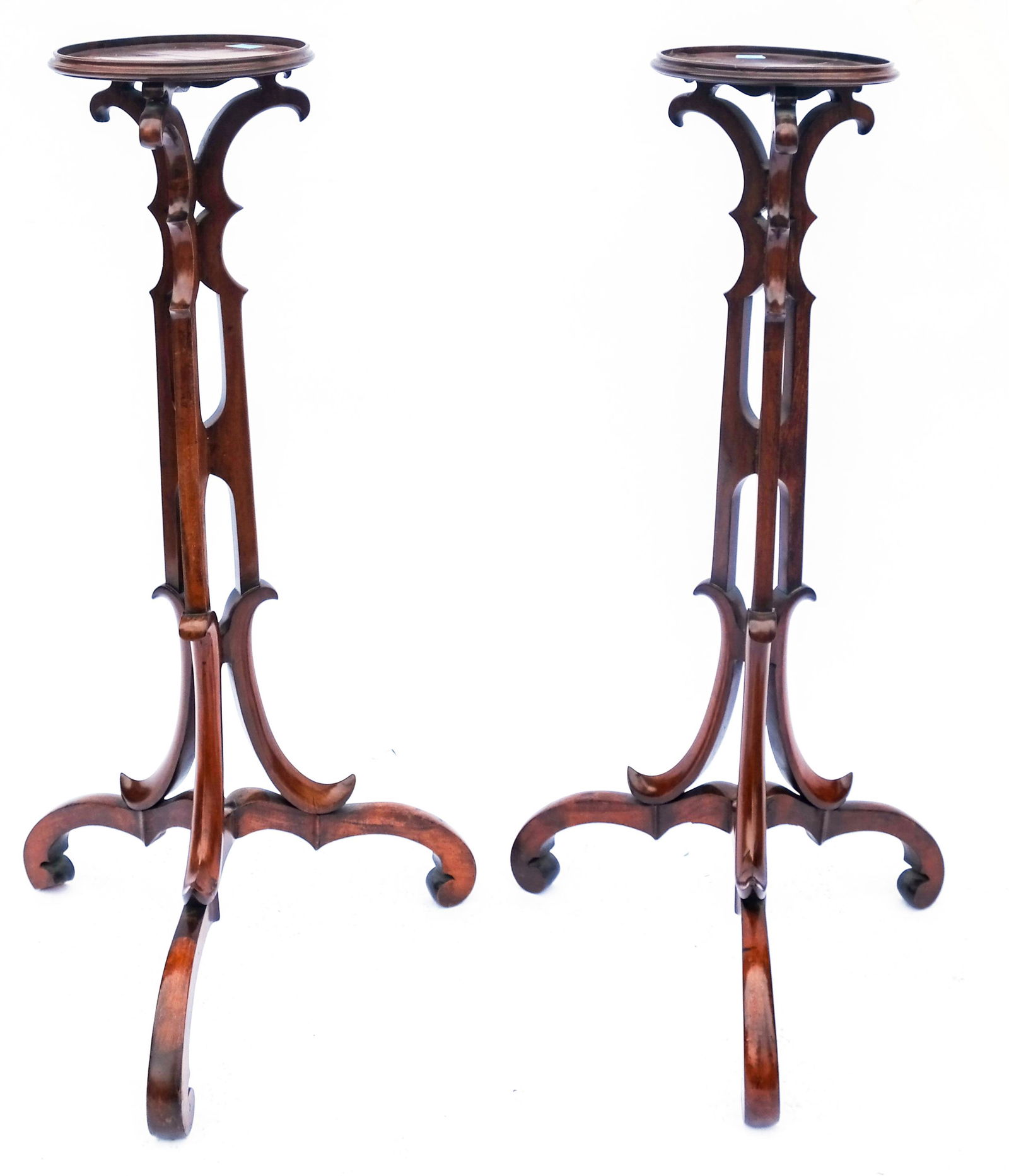 Pair of English Fern Stands (1 of 6)