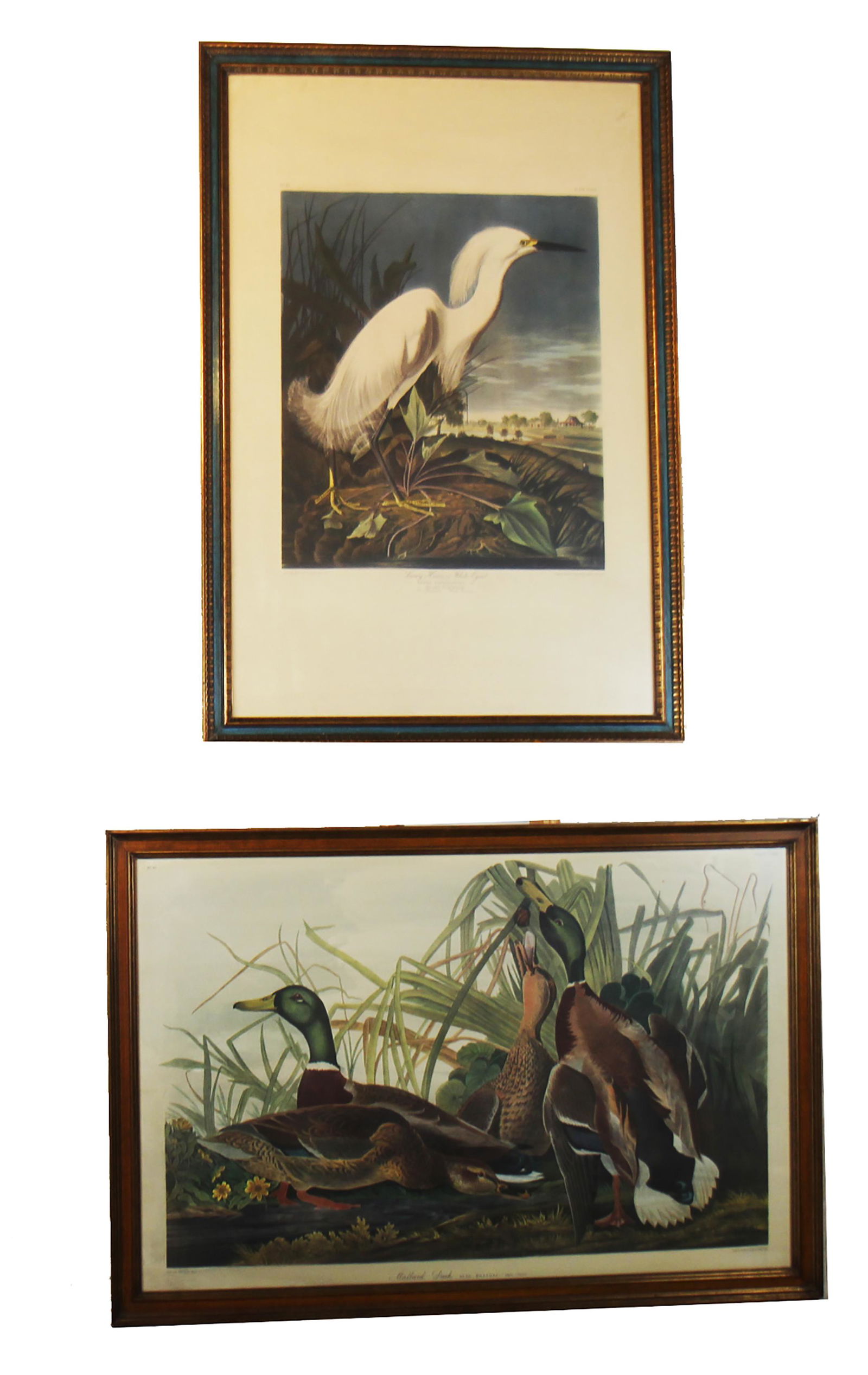 Pair of Audubon Prints (1 of 9)