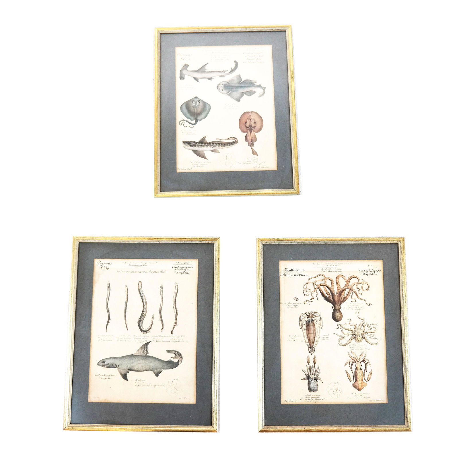 Three Illustrations, After P. Oudart (1 of 8)