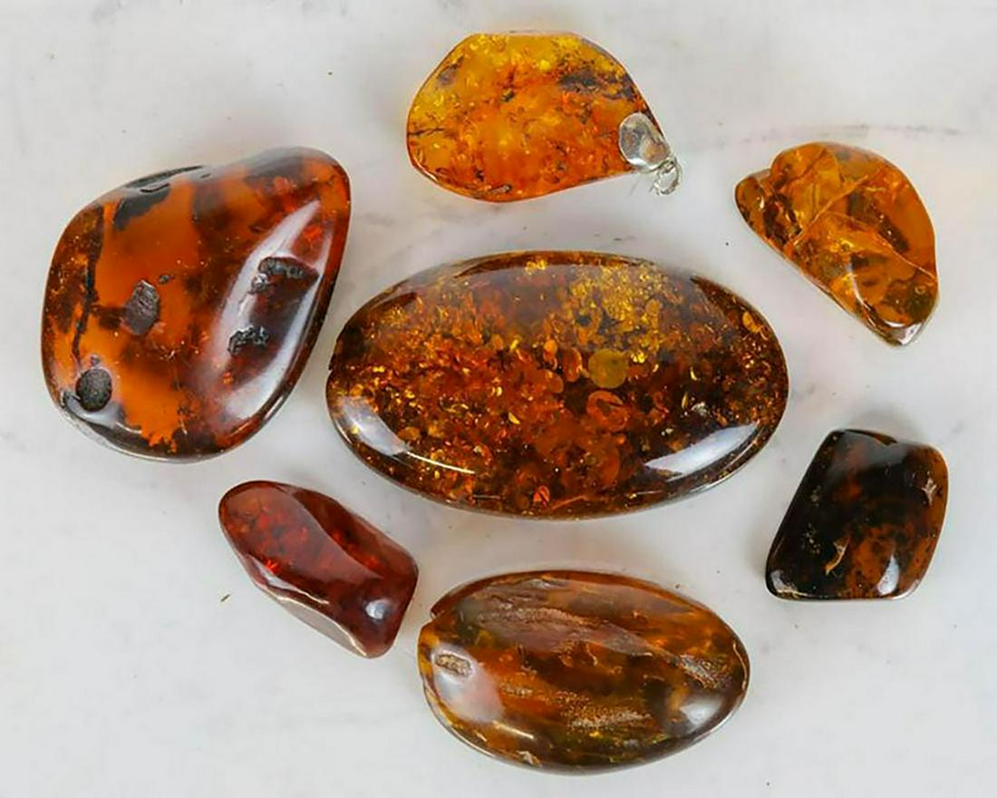 Group of 7 Large Baltic Amber Specimens (1 of 13)