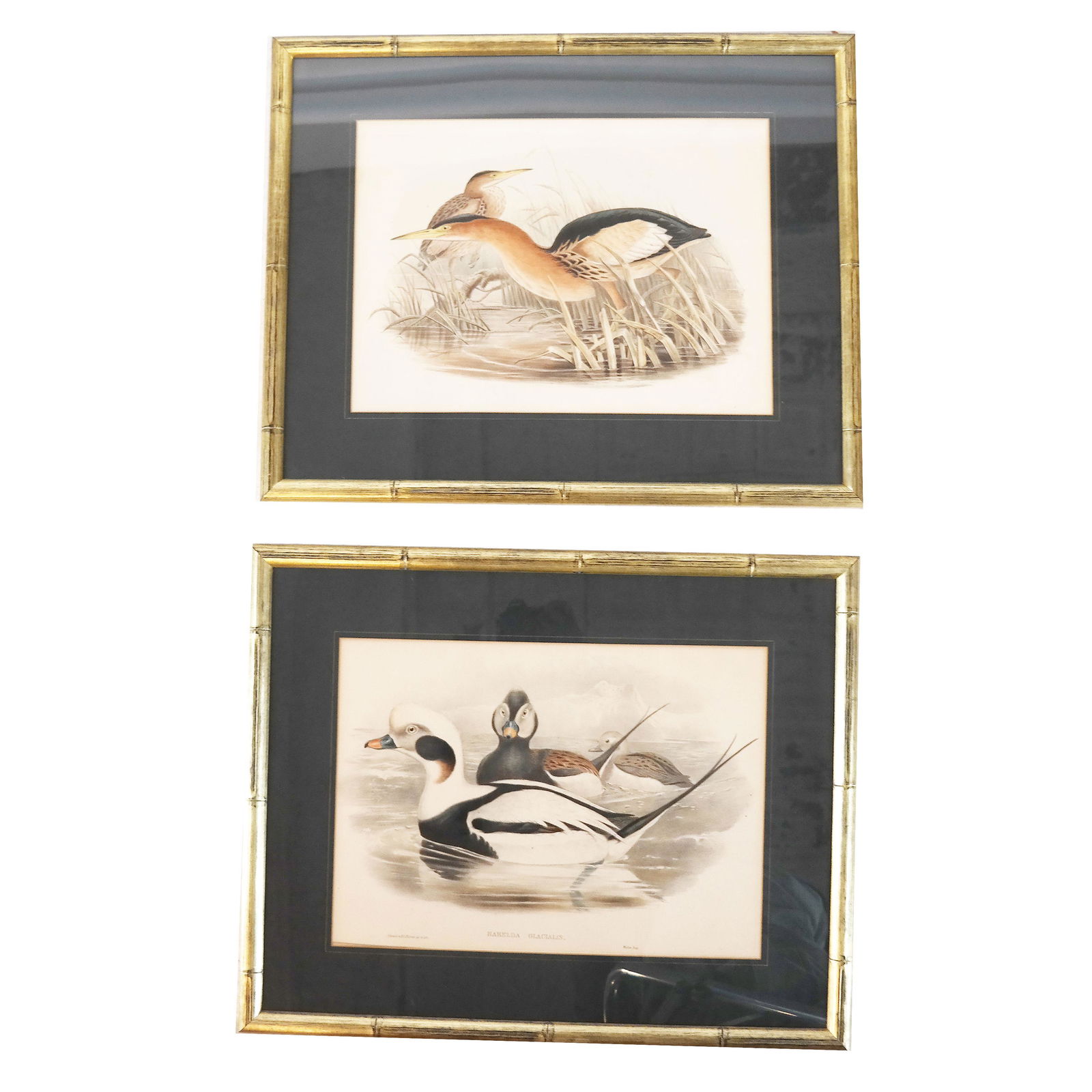 Pair Duck Prints, Framed Walter Imp (1 of 8)