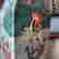 item-103302426=12