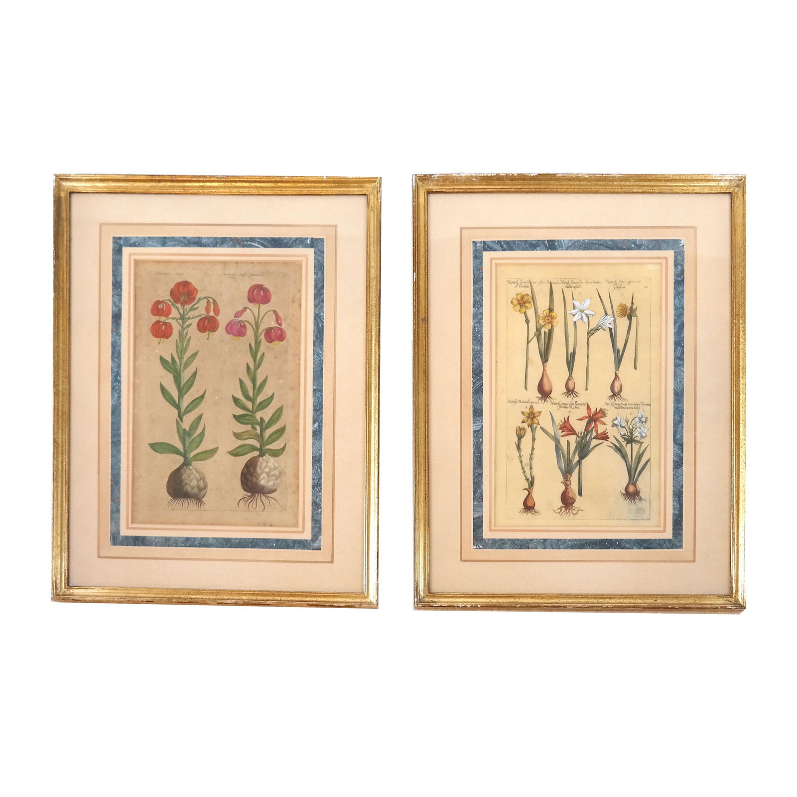 Pair of 17th C. Botanical Prints by Vertius (1 of 11)