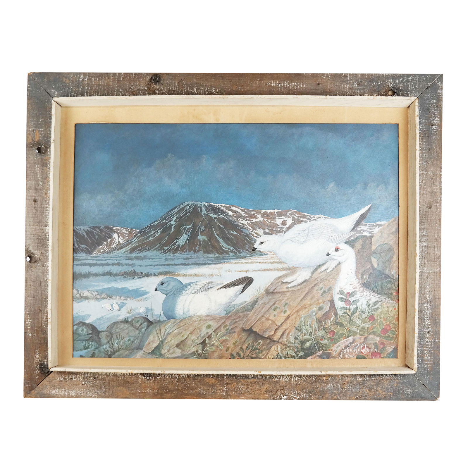 John QUINN: Winter Birds - Painting (1 of 6)