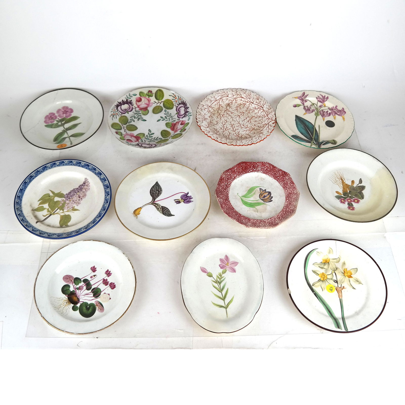 Eleven English Floral Design Plates (1 of 19)