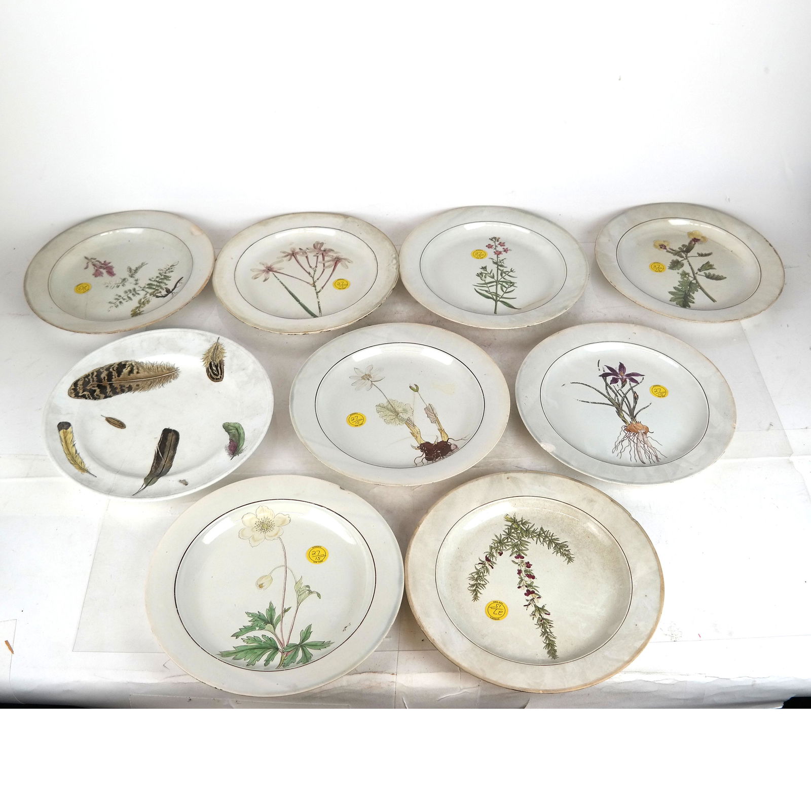 Nine English Art Botanical Plates (1 of 20)