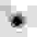 item-105096621=5