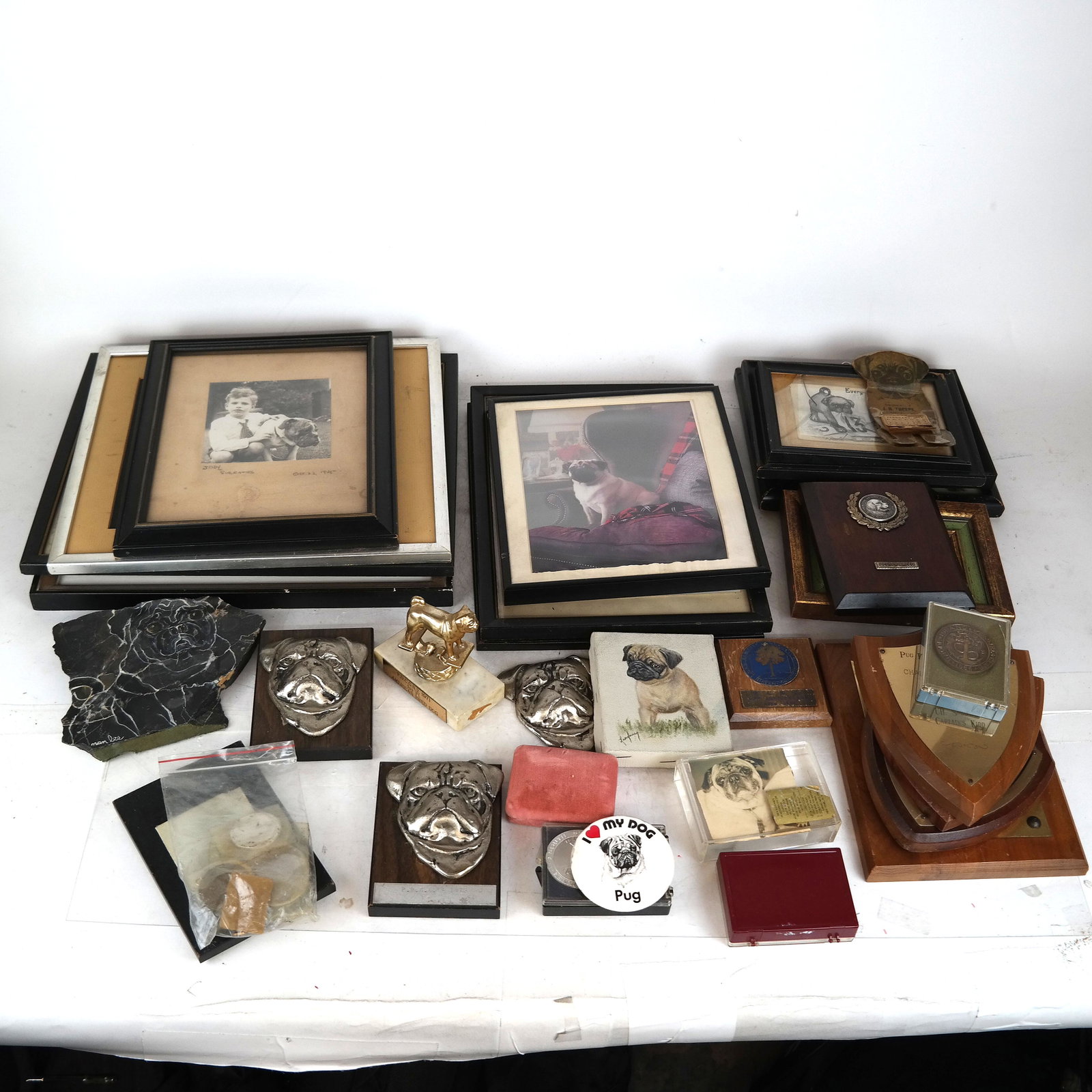 Lot of Pug-Themed Items, Including Trophies: Uncounted lot of trophies, buttons, medals, plaques, art and photos, all relating to pugs. Provenance: New York City private museum collection. [Largest: 3 3/4" H x 4" W x 1 3/4" D]. All with some wea