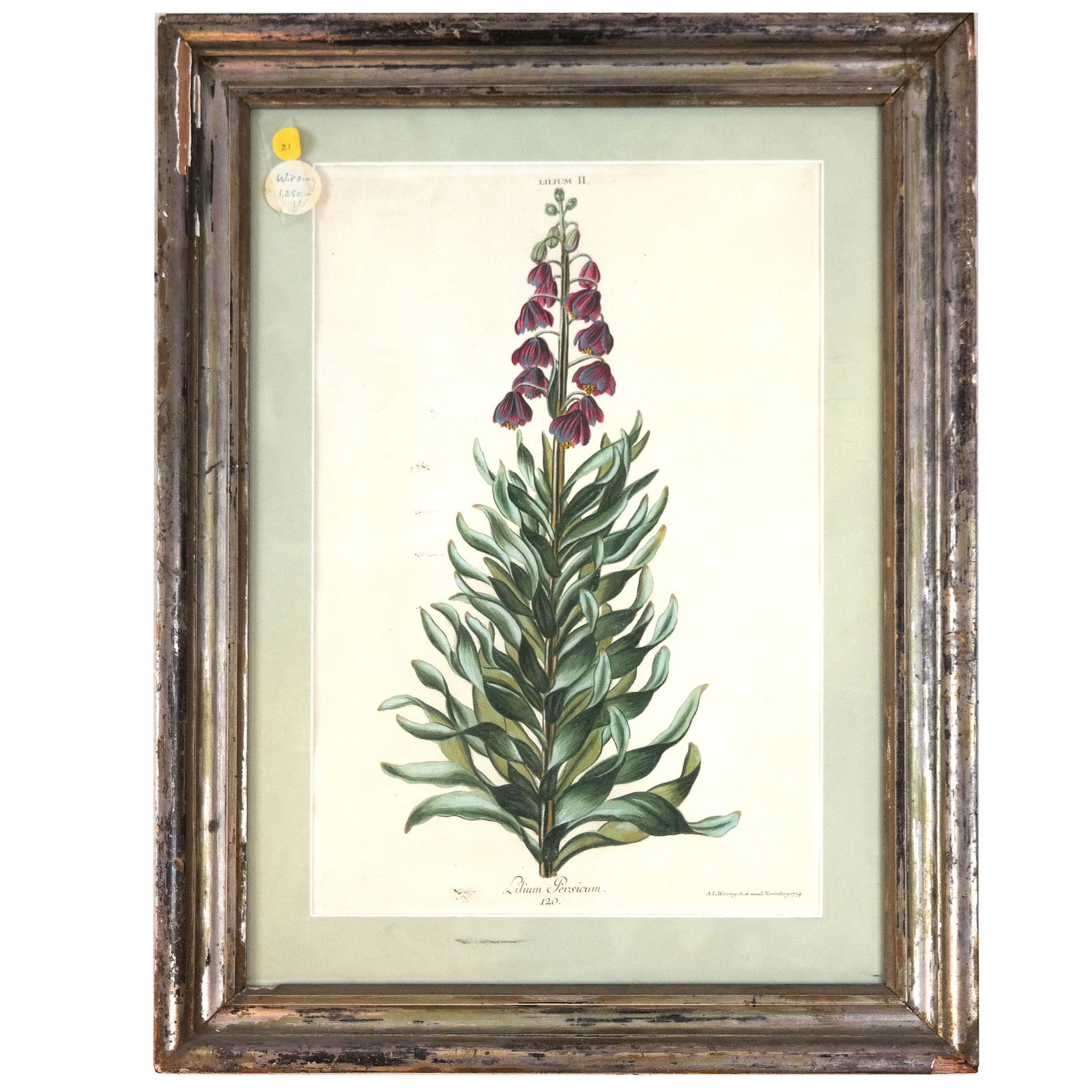 A.I. WIRSING: Botanical Colored Etching (1 of 7)