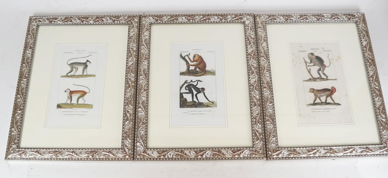 Set of 3 Antique Engravings (1 of 11)