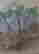 item-107981624=6
