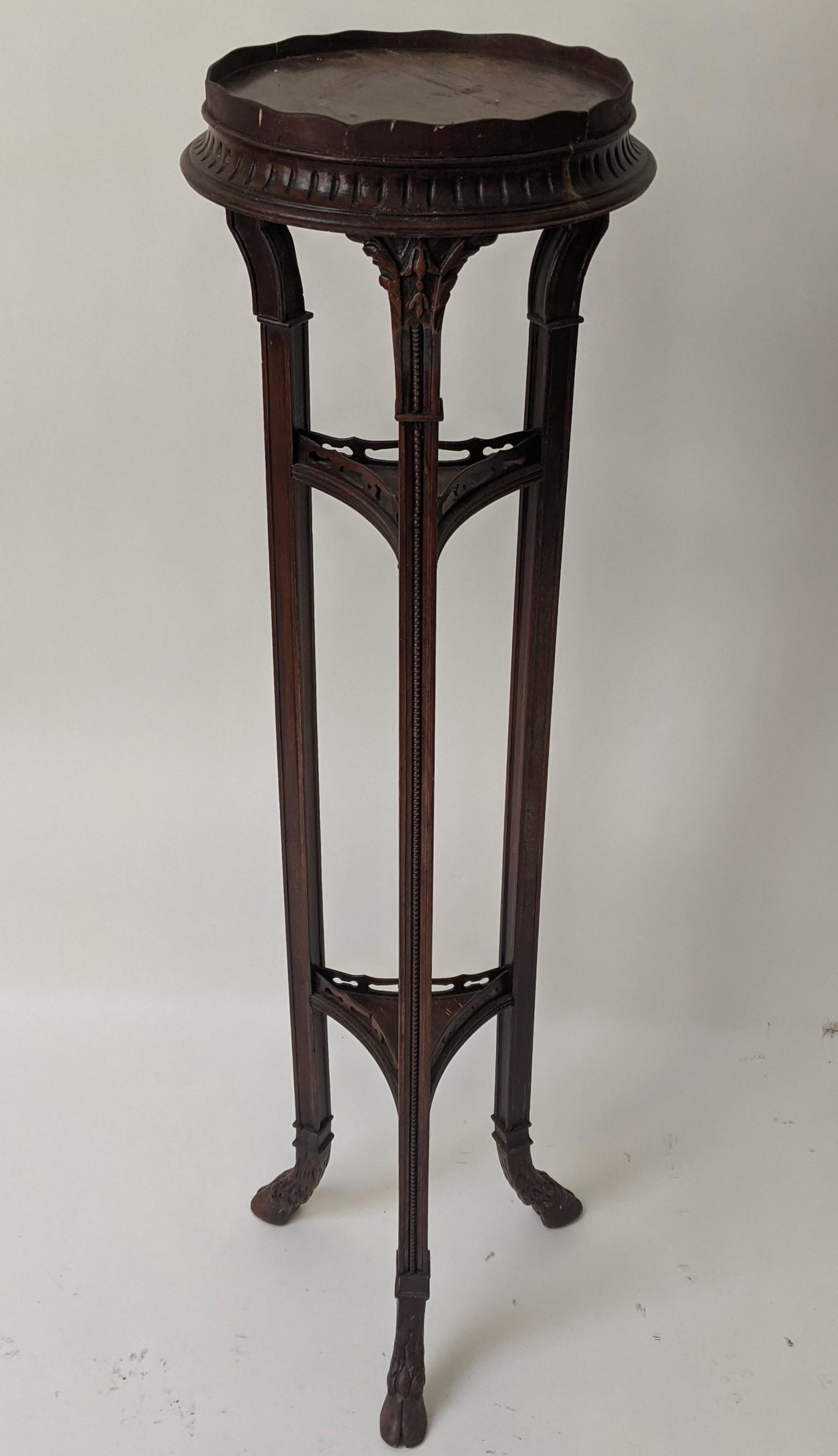 Mahogany Hoof Foot Fern Stand: Mahogany hoof foot fern stand. [44" H x 12" W]. Wear to top.