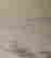 item-107981728=5