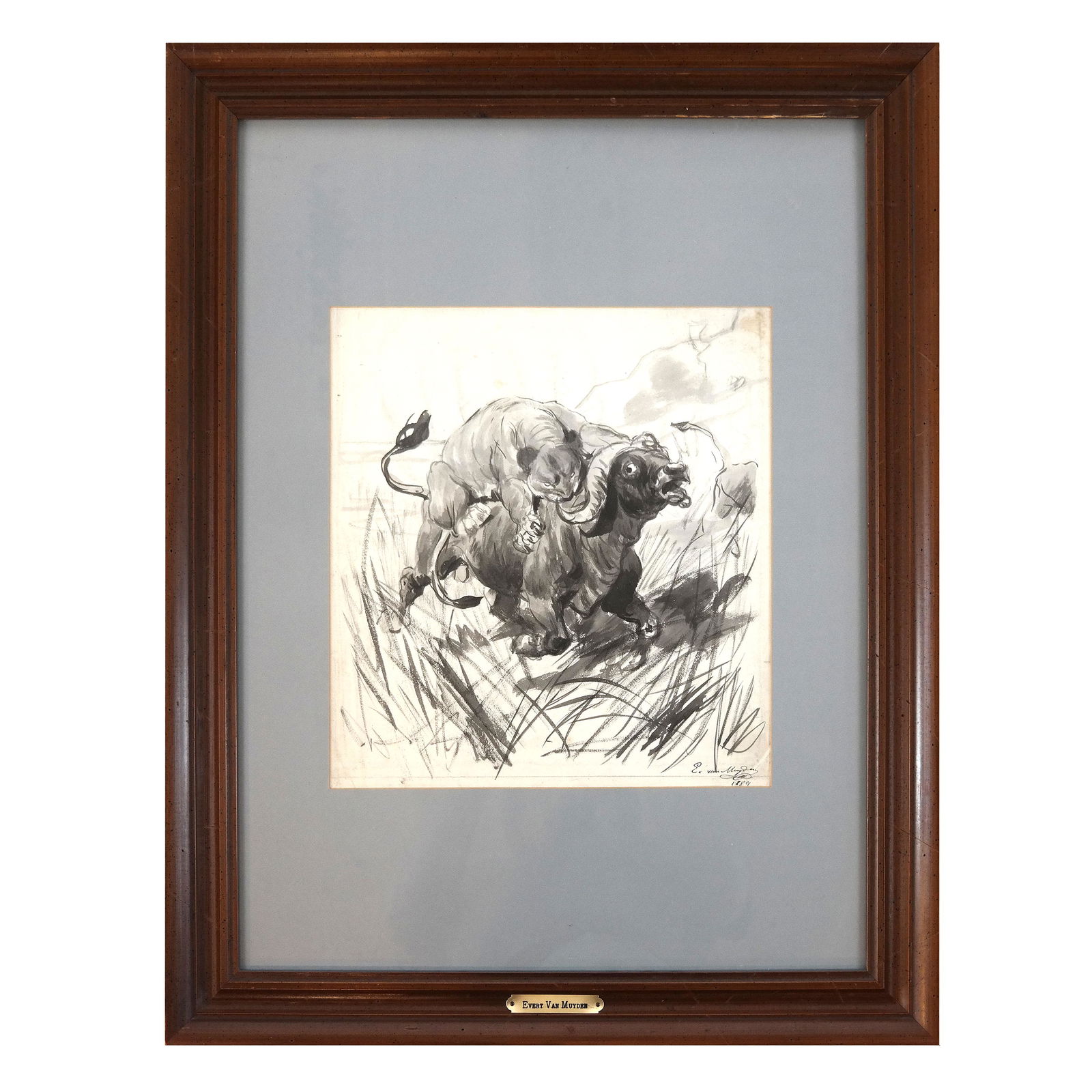 Evert Van MUYDEN: Animal Attacked - Ink on Paper (1 of 6)