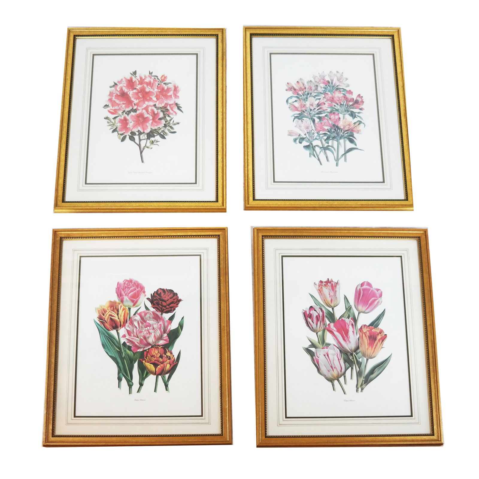 Four Framed Botanical Prints (1 of 13)