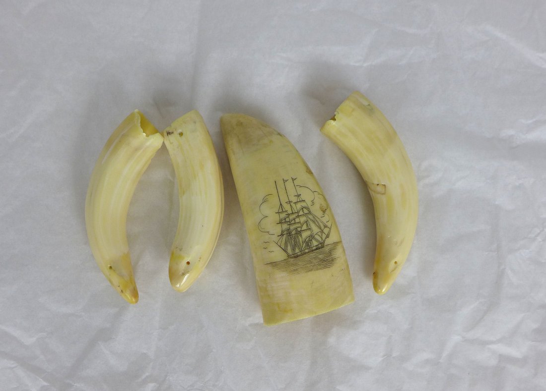 Engraved Nautical Scrimshaw carving: Small group of scrimshaw. Including 3 smaller pieces and one piece carved with an image of a ship in the ocean. Largest 3.5" tall.