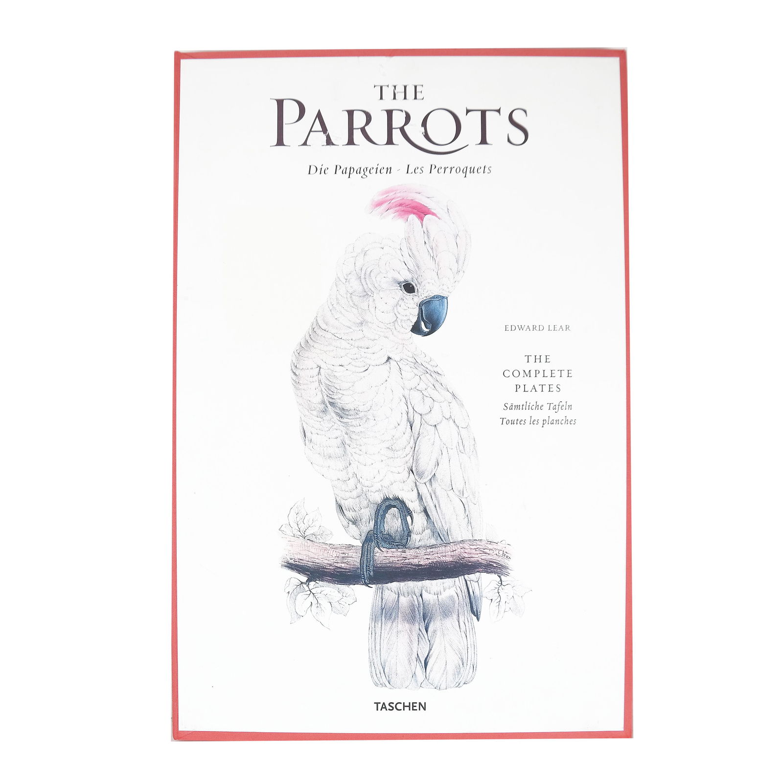 BOOK: "The Parrots" by Edward Lear - Taschen (1 of 13)
