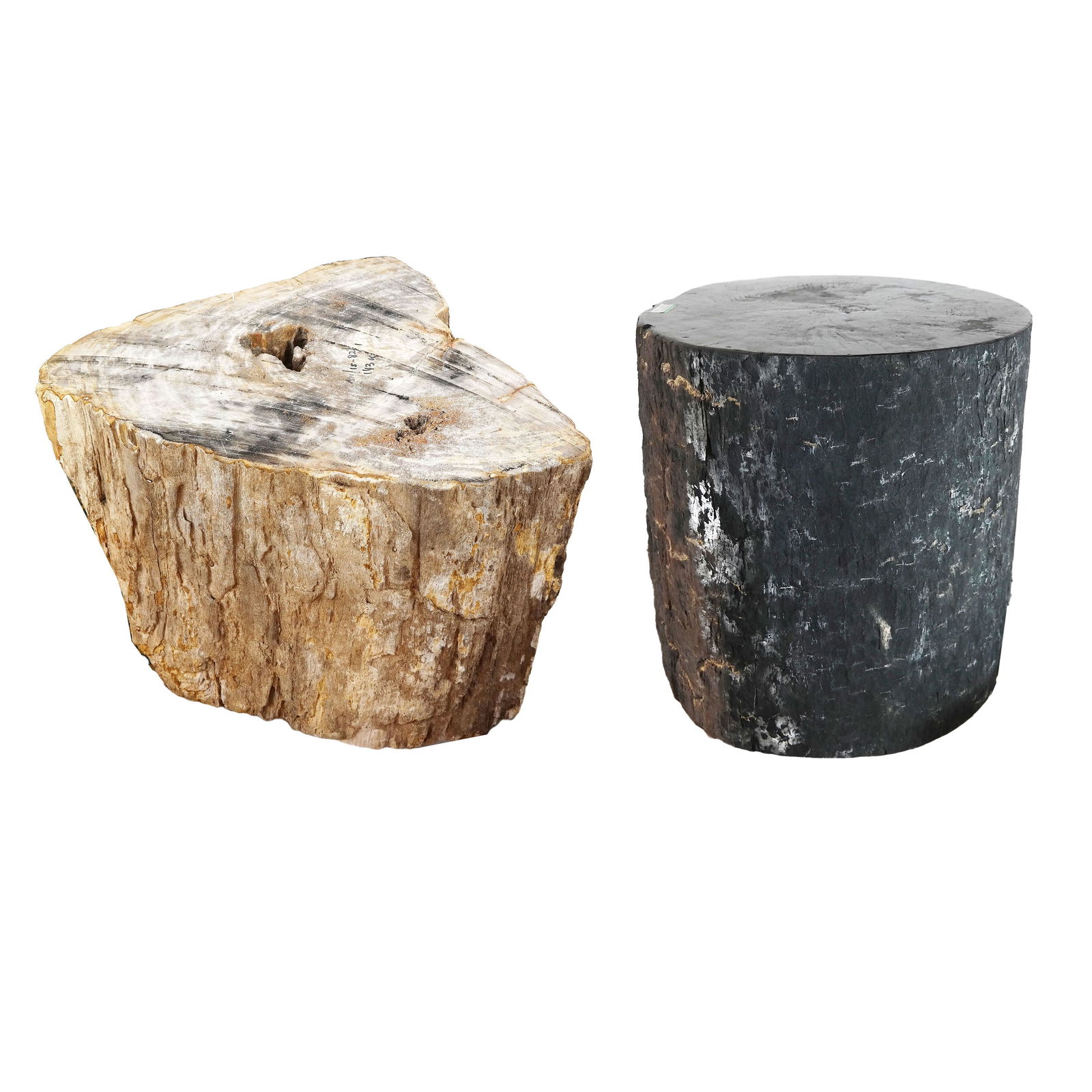 Two Petrified Wood Modern Side Tables / Stools (1 of 15)